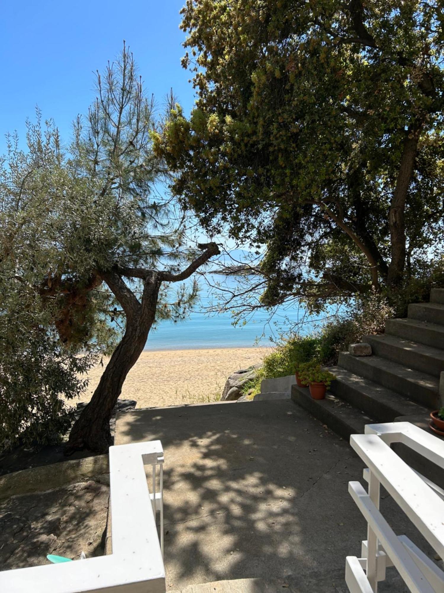 Secret Bay Daire PalaiónTsiflíkion Dış mekan fotoğraf
